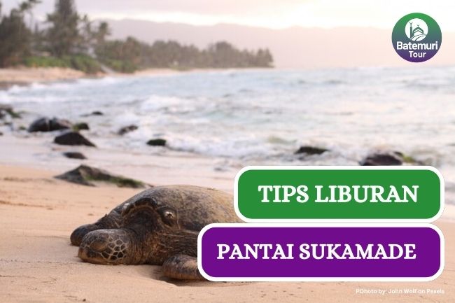 5 Tips Jelajahi Pantai Sukamade yang Indah dan Menawan